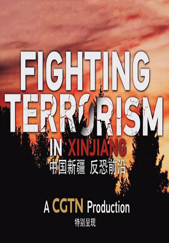 中国新疆 反恐前沿(全集)